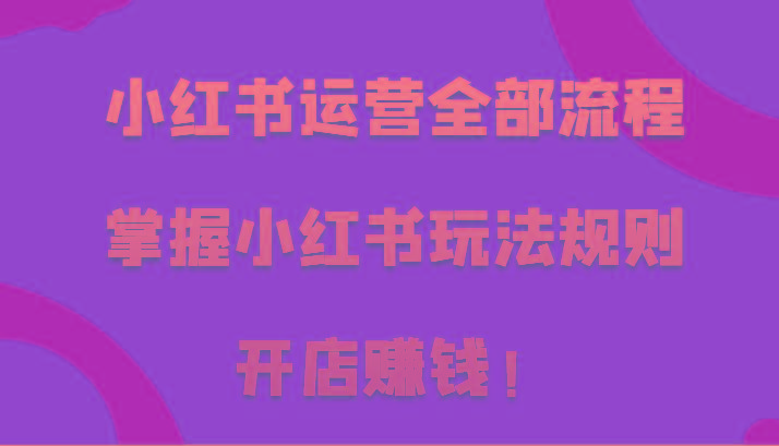 小红书运营全部流程，掌握小红书玩法规则，开店赚钱！-点子口袋网