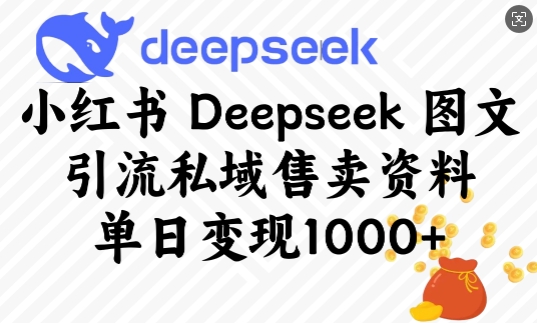 小红书Deepseek图文引流私域售卖资料，单日变现多张-点子口袋网