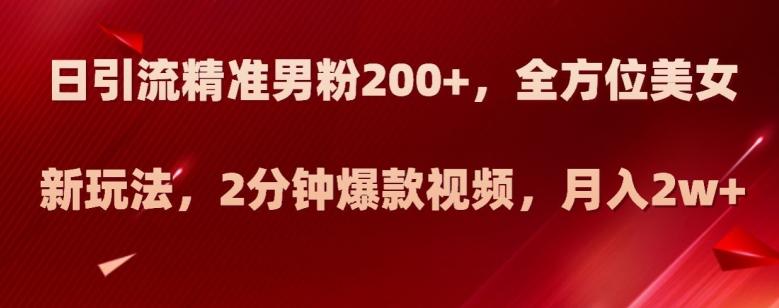 日引流精准男粉200+，全方位美女新玩法，2分钟爆款视频，月入2w+【揭秘】-点子口袋网