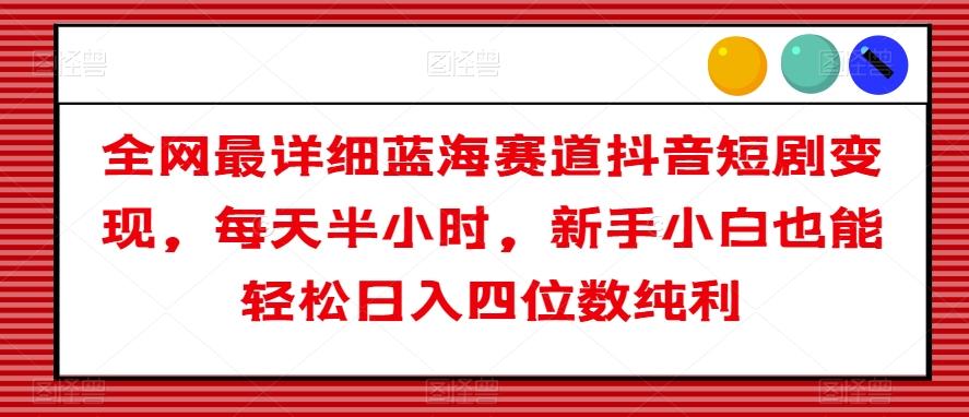 全网最详细蓝海赛道抖音短剧变现，每天半小时，新手小白也能轻松日入四位数纯利【揭秘】-点子口袋网