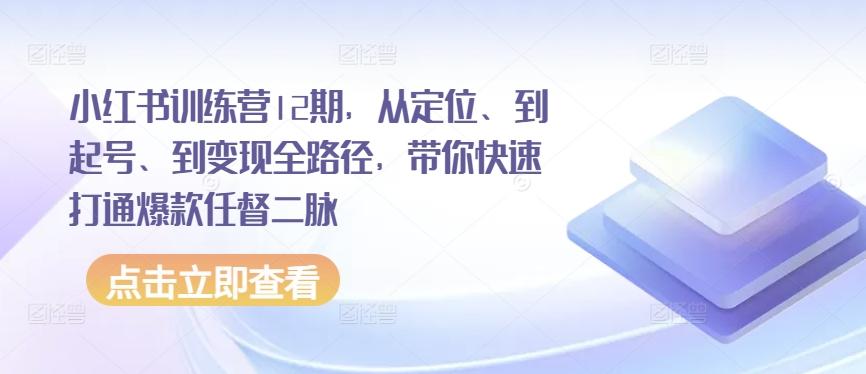 小红书训练营12期，从定位、到起号、到变现全路径，带你快速打通爆款任督二脉-点子口袋网