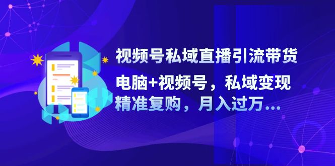 视频号私域直播引流带货：电脑+视频号，私域变现，精准复购，月入过万...-点子口袋网