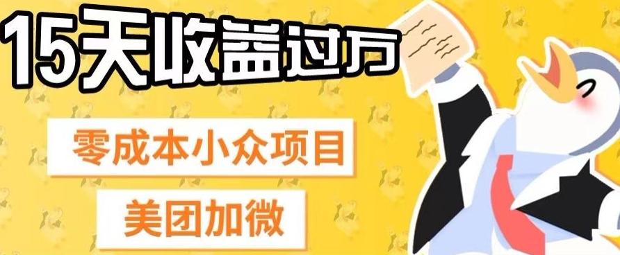 零成本小众项目，美团加微，一单4.5+，15天已经有人赚上万收益-点子口袋网