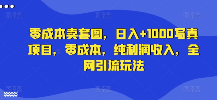 零成本卖套图，日入+1000写真项目，零成本，纯利润收入，全网引流玩法-点子口袋网