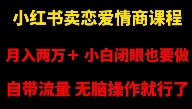 小红书卖恋爱情商课程，月入两万＋，小白闭眼也要做，自带流量，无脑操作就行了【揭秘】-点子口袋网