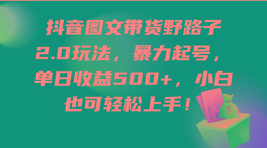 (9790期)抖音图文带货野路子2.0玩法，暴力起号，单日收益500+，小白也可轻松上手！-点子口袋网
