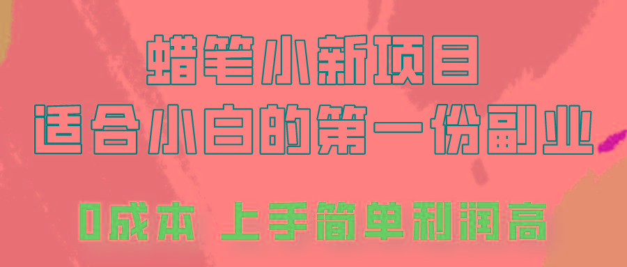 蜡笔小新项目拆解，0投入，0成本，小白一个月也能多赚3000+-点子口袋网
