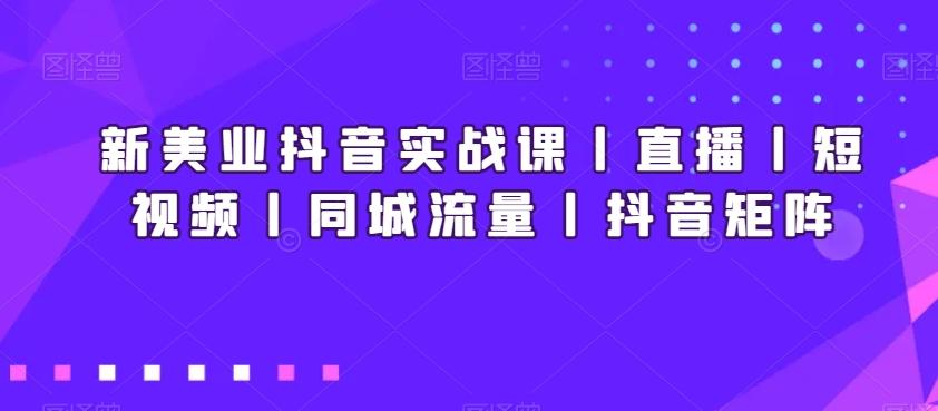 新美业抖音实战课丨直播丨短视频丨同城流量丨抖音矩阵-点子口袋网