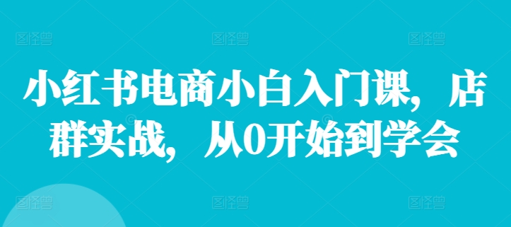 小红书电商小白入门课，店群实战，从0开始到学会-点子口袋网