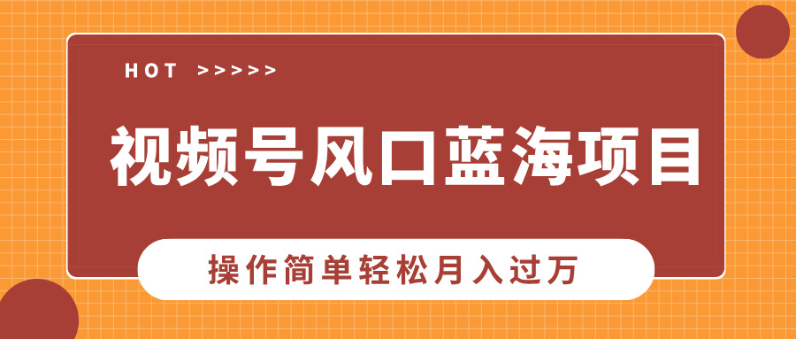 视频号风口蓝海项目，中老年人的流量密码，操作简单轻松月入过万-点子口袋网