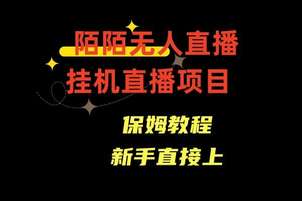 收费1980的，陌陌无人直播，通道人数少，新手容易上手-点子口袋网
