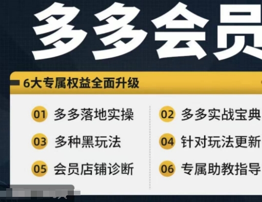 拼多多会员，拼多多实战宝典+实战落地实操，从新手到高阶内容全面覆盖-点子口袋网