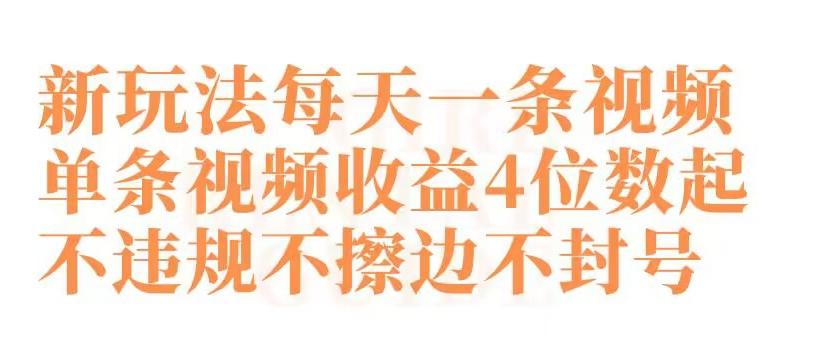 快手新玩法每天一条视频单条视频收益4位数起不违规不擦边不封号【揭秘】-点子口袋网