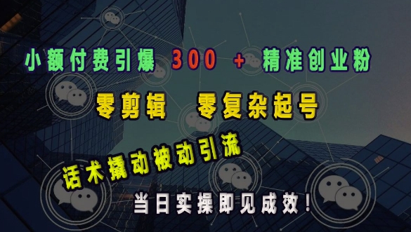 小额付费引爆 300 + 精准创业粉，零剪辑、零复杂起号，话术撬动被动引流，当日实操即见成效-点子口袋网