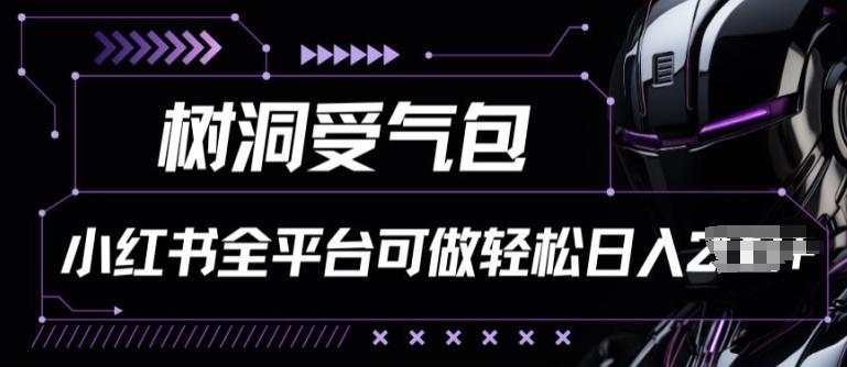 小红书等全平台树洞受气包项目，轻松日入一两张【揭秘】-点子口袋网