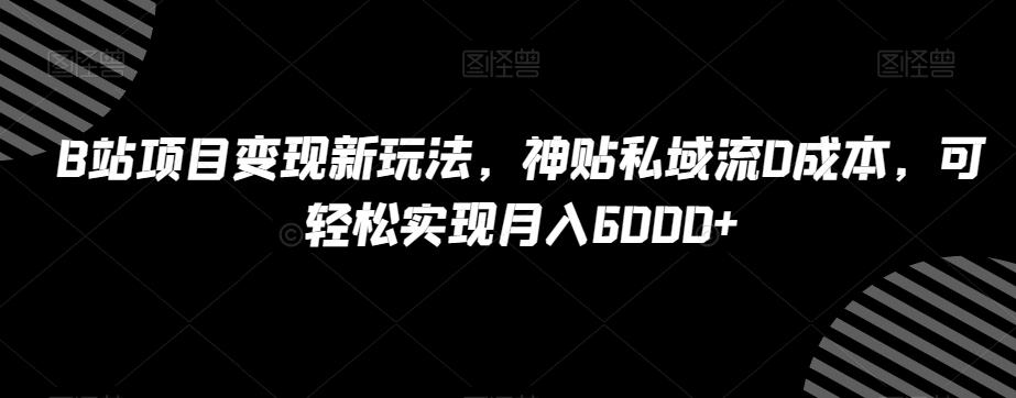 B站项目变现新玩法，神贴私域流0成本，可轻松实现月入6000+【揭秘】-点子口袋网