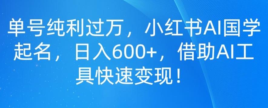 单号纯利过万，小红书AI国学起名，日入600+，借助AI工具快速变现-点子口袋网