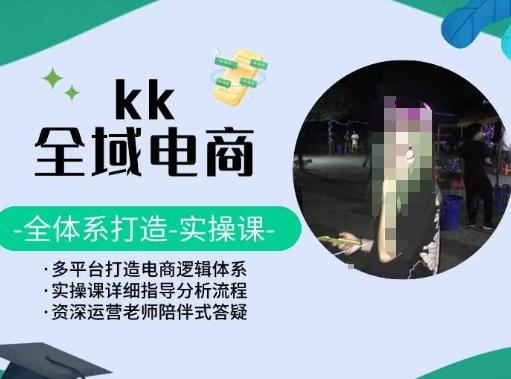 KK全域电商，全体系打造实操课，多平台打造电商逻辑体系-点子口袋网