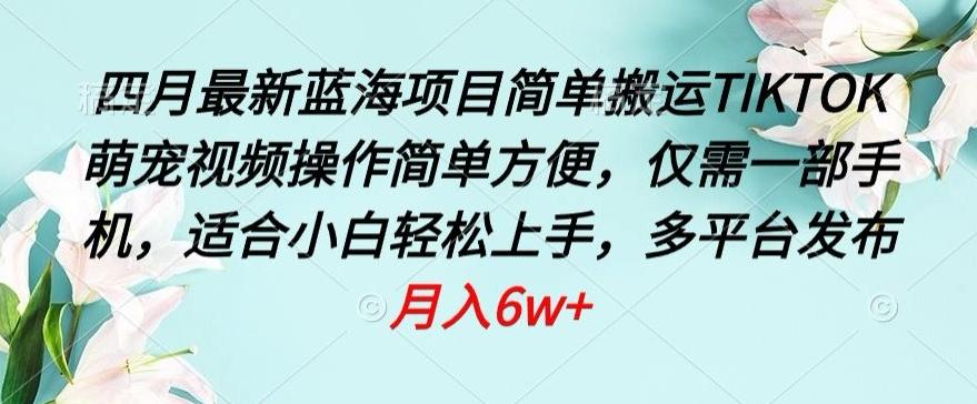 四月最新蓝海项目，简单搬运TIKTOK萌宠视频，操作简单方便，仅需一部手机【揭秘】-点子口袋网