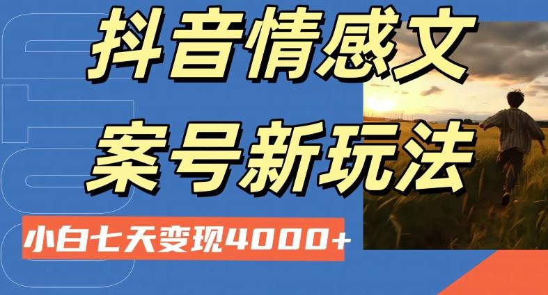 抖音情感文案小白七天变现4000+详细课程-点子口袋网