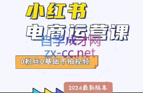 达哥·小红书电商运营(2024版)-点子口袋网