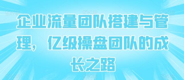 企业流量团队搭建与管理，亿级操盘团队的成长之路-点子口袋网
