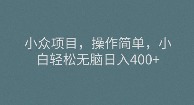 小众项目，操作简单，小白轻松无脑日入400+-点子口袋网