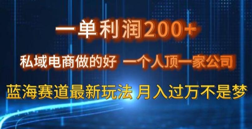 一单利润200私域电商做的好，一个人顶一家公司蓝海赛道最新玩法【揭秘】-点子口袋网