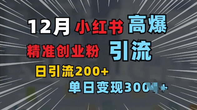 小红书一张图片“引爆”创业粉，单日+200+精准创业粉 可筛选付费意识创业粉【揭秘】-点子口袋网