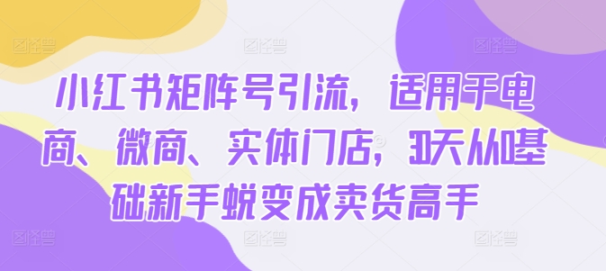 小红书矩阵号引流，适用于电商、微商、实体门店，30天从0基础新手蜕变成卖货高手-点子口袋网