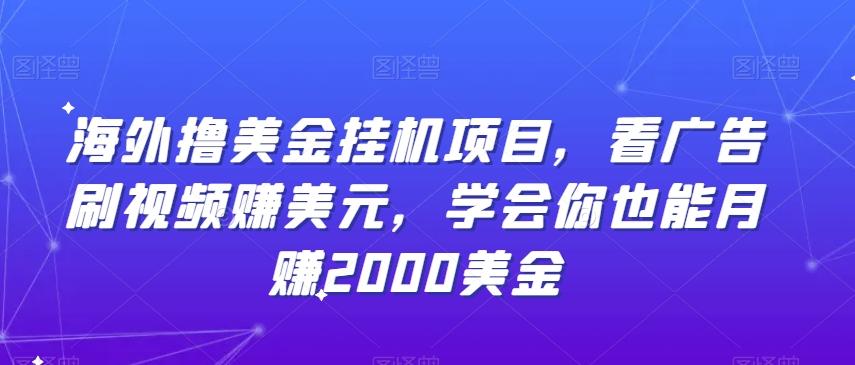 海外撸美金挂机项目，看广告刷视频赚美元，学会你也能月赚2000美金-点子口袋网