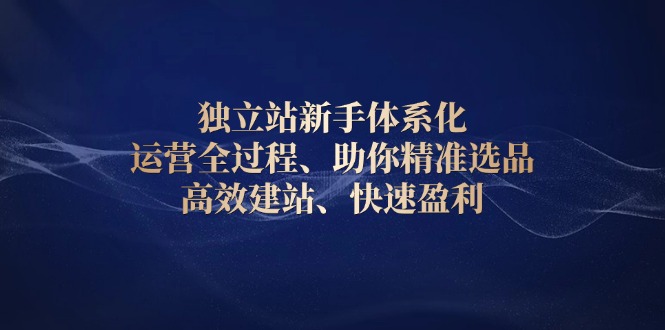 独立站新手体系化 运营全过程，助你精准选品、高效建站、快速盈利-点子口袋网