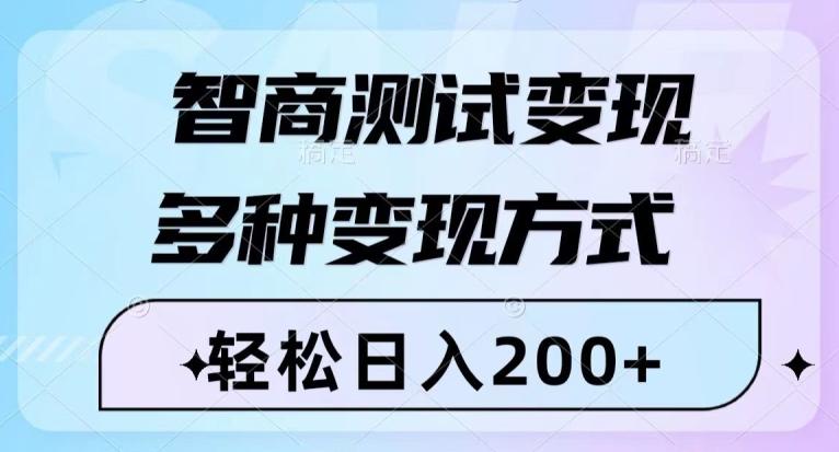 智商测试变现，轻松日入200+，几分钟一个视频，多种变现方式-点子口袋网