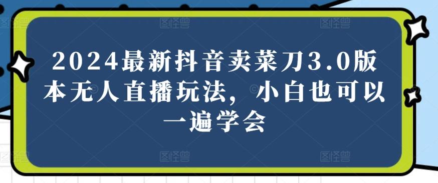 2024最新抖音卖菜刀3.0版本无人直播玩法，小白也可以一遍学会【揭秘】-点子口袋网