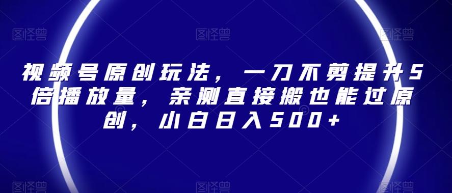视频号原创玩法，一刀不剪提升5倍播放量，亲测直接搬也能过原创，小白日入500+【揭秘】-点子口袋网
