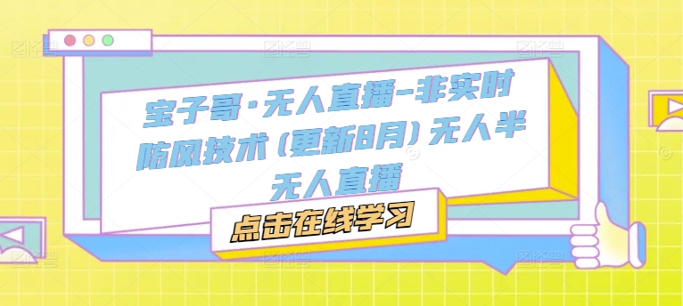 宝子哥·无人直播-非实时防风技术(更新8月)无人半无人直播-点子口袋网