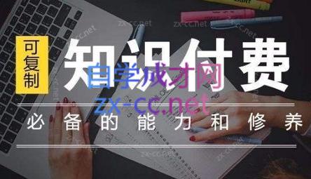 君哥·IP合伙人知识付费虚拟项目(更新24年6月)-点子口袋网
