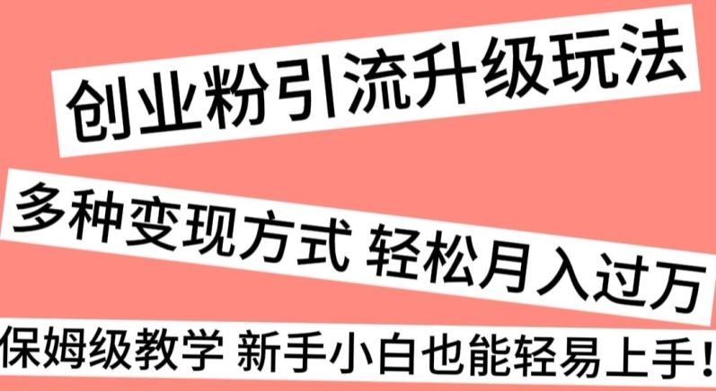 创业粉引流升级玩法，多种变现方式轻松月入过万，保姆级教学新手小白也能轻易上手！-点子口袋网