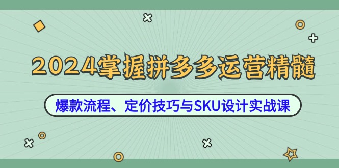 2024掌握拼多多运营精髓：爆款流程、定价技巧与SKU设计实战课-点子口袋网