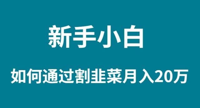 (9308期)新手小白如何通过割韭菜月入 20W-点子口袋网