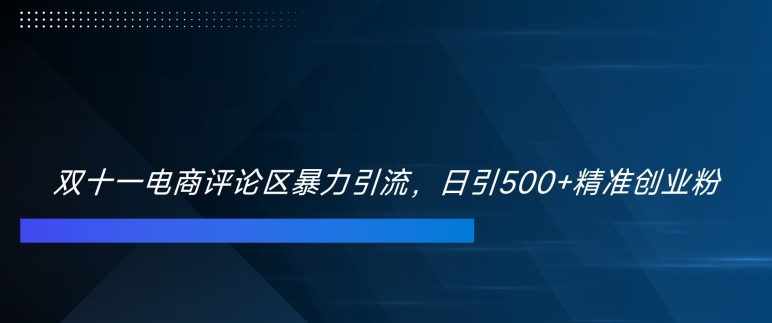 双十一电商评论区暴力引流，日引500+精准创业粉【揭秘】-点子口袋网