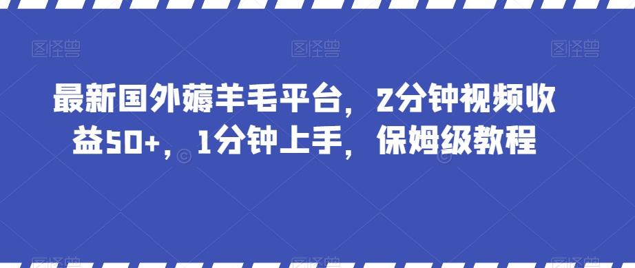 最新国外薅羊毛平台，2分钟视频收益50+，1分钟上手，保姆级教程【揭秘】-点子口袋网