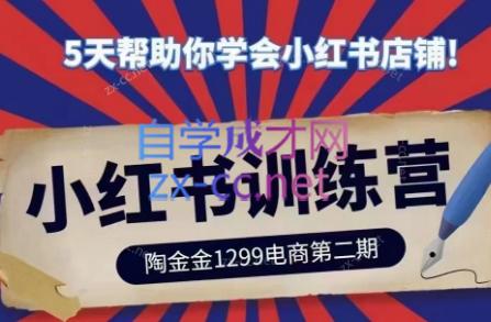 陶金金·小红书训练营(第二期)-点子口袋网
