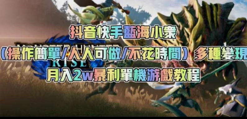 抖音快手蓝海小众（操作简单人人可做不花时间）多种变现月入2w＋暴利单机游戏教程-点子口袋网