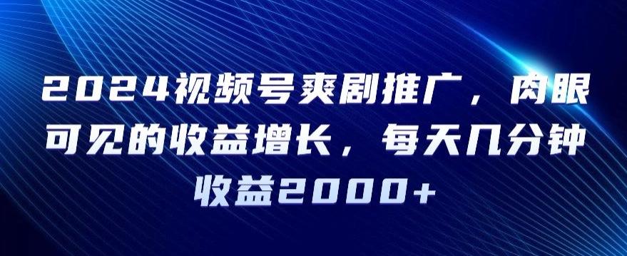 2024视频号爽剧推广，肉眼可见的收益增长，每天几分钟收益2000+【揭秘】-点子口袋网