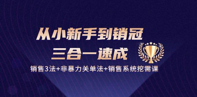 从小新手到销冠 三合一速成：销售3法+非暴力关单法+销售系统挖需课 (27节-点子口袋网