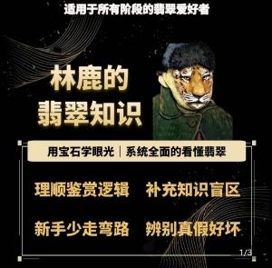 林鹿的翡翠知识，​用宝石眼光，系统全面的看懂翡翠-点子口袋网