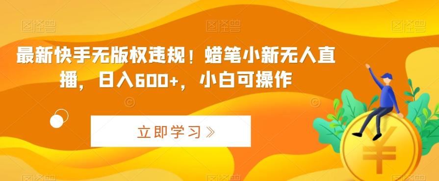 最新快手无版权违规！蜡笔小新无人直播，日入600+，小白可操作【揭秘】-点子口袋网
