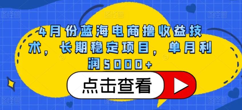 4月份蓝海电商撸收益技术，长期稳定项目，单月利润5000+【揭秘】-点子口袋网