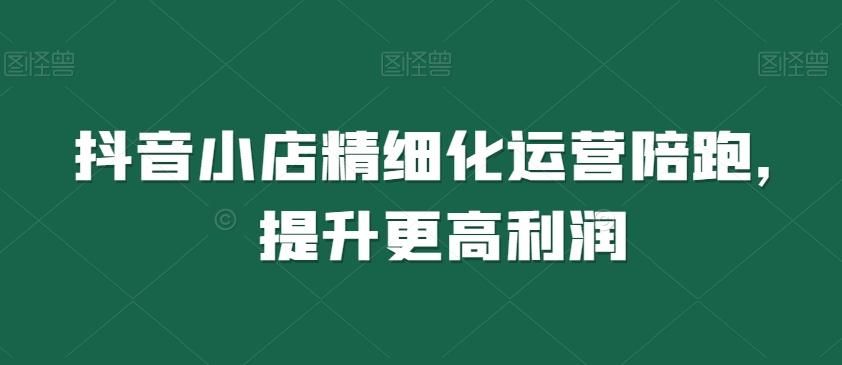 抖音小店精细化运营陪跑，提升更高利润-点子口袋网